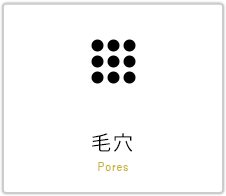 毛穴治療 Pores