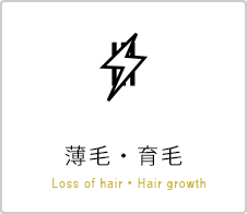 薄毛・育毛 Loss of hair・Hair growth